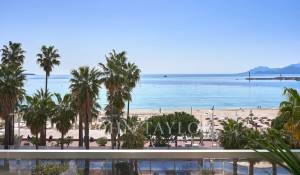 Événementiel Appartement Cannes