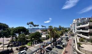 Événementiel Appartement Cannes