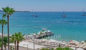 Événementiel Appartement Cannes