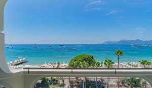Événementiel Appartement Cannes