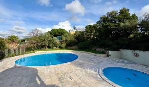 Location Appartement Avenidas Novas