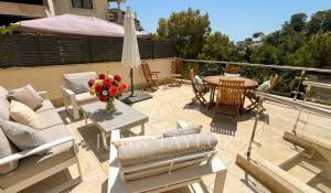 Location Appartement Cas Català