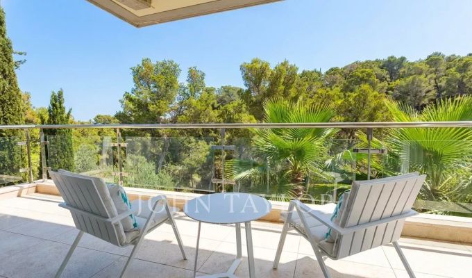 Location Appartement Cas Català