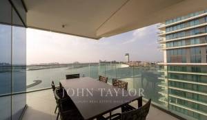 Location Appartement Dubai