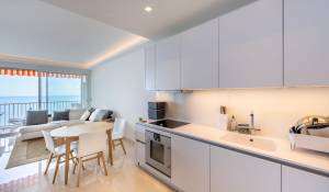 Location Appartement Monaco