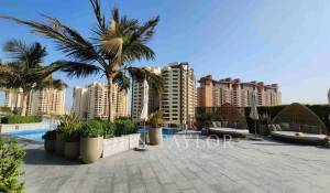Location Appartement Palm Jumeirah