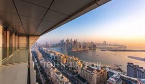 Location Appartement Palm Jumeirah