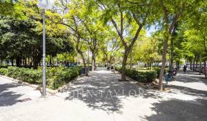 Location Appartement Palma de Mallorca