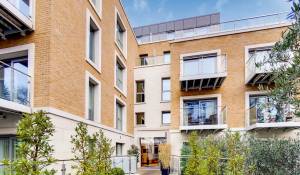 Location Appartement Putney