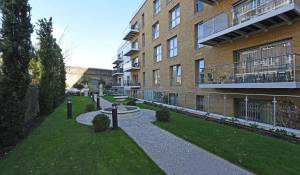 Location Appartement Putney