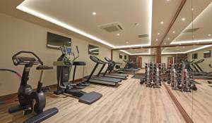 Location Appartement Putney