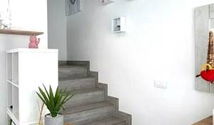 Location Appartement Saint-Barthélemy