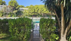 Location Appartement Santa Ponsa