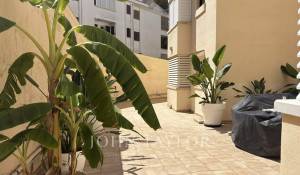 Location Appartement Santa Ponsa