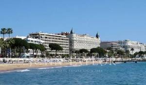 Location Commerce Cannes