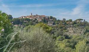 Location Local commercial Mougins