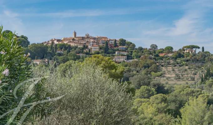 Location Local commercial Mougins