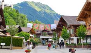 Location Maison de village Gstaad