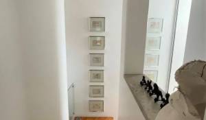 Location Maison Limassol