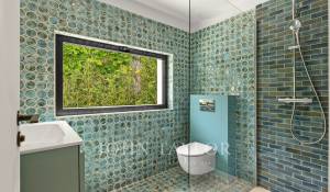 Location Maison Mougins