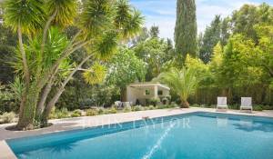 Location Maison Mougins