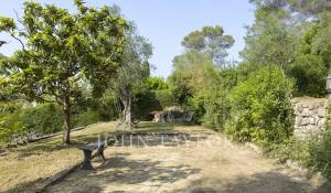 Location Maison Mougins