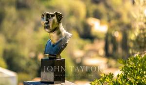 Location Maison Mougins