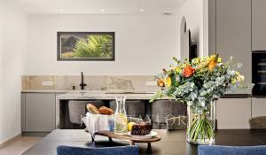 Location Maison Mougins