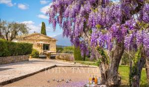 Location Maison Valbonne
