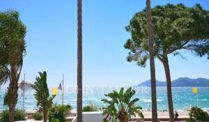 Location saisonnière Appartement Cannes