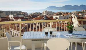 Location saisonnière Appartement Cannes