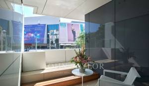 Location saisonnière Appartement Cannes