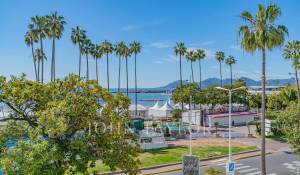 Location saisonnière Appartement Cannes