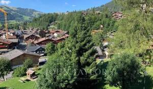 Location saisonnière Appartement Gstaad