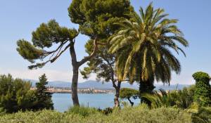 Location saisonnière Propriété Antibes