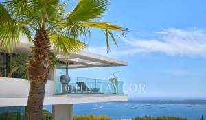 Location saisonnière Propriété Cannes