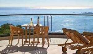 Location saisonnière Propriété Cannes