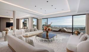 Location saisonnière Propriété Cannes