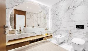 Location Villa Dubai