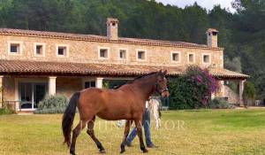 Location Villa Esporles