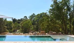 Location Villa Roquefort-les-Pins