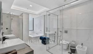 Location Villa sur toit Downtown Dubai