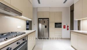 Location Villa sur toit Downtown Dubai