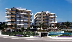 Programme neuf Appartement Mouttagiaka
