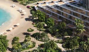 Programme neuf Appartement Palm Jebel Ali