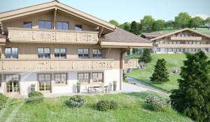 Programme neuf Appartement Saanen