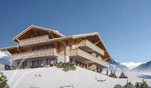 Programme neuf Appartement Saanen