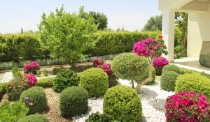 Programme neuf Ensemble immobilier Paphos