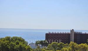 Programme neuf Villa Cas Català