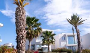 Programme neuf Villa Peyia
